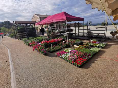 Fte des Plantes et de l'Artisanat 8 mai 22