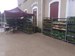 Fte des Plantes 28 avril 2024