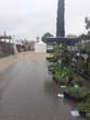 Fte des Plantes 28 avril 2024