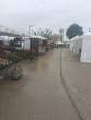 Fte des Plantes 28 avril 2024