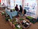 Fte des Plantes 28 avril 2024