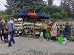 Fte des Plantes 28 avril 2024