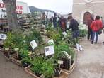 Fte des Plantes 28 avril 2024