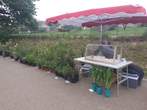 Fte des Plantes 28 avril 2024