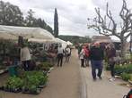 Fte des Plantes 28 avril 2024