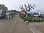 Fte des Plantes et de l'Artisanat 27 avril 25