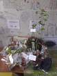Fte des Plantes et de l'Artisanat 27 avril 25